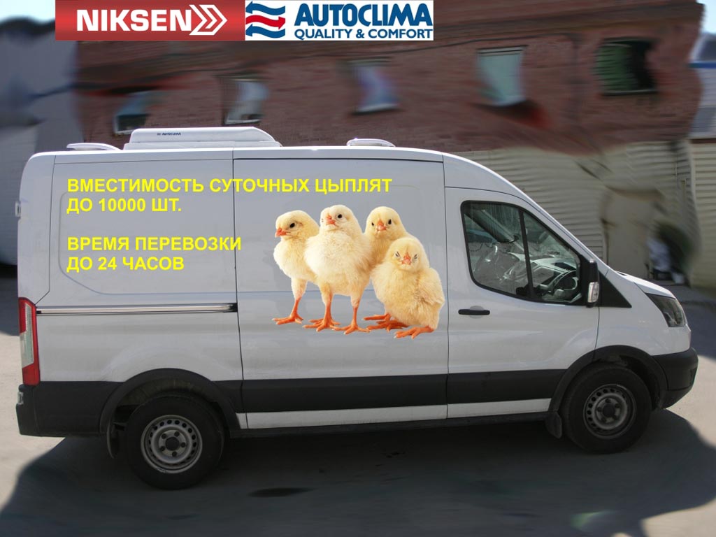Цыплятовоз «NIKSEN» на базе цельнометаллического фургона FORD TRANSIT.